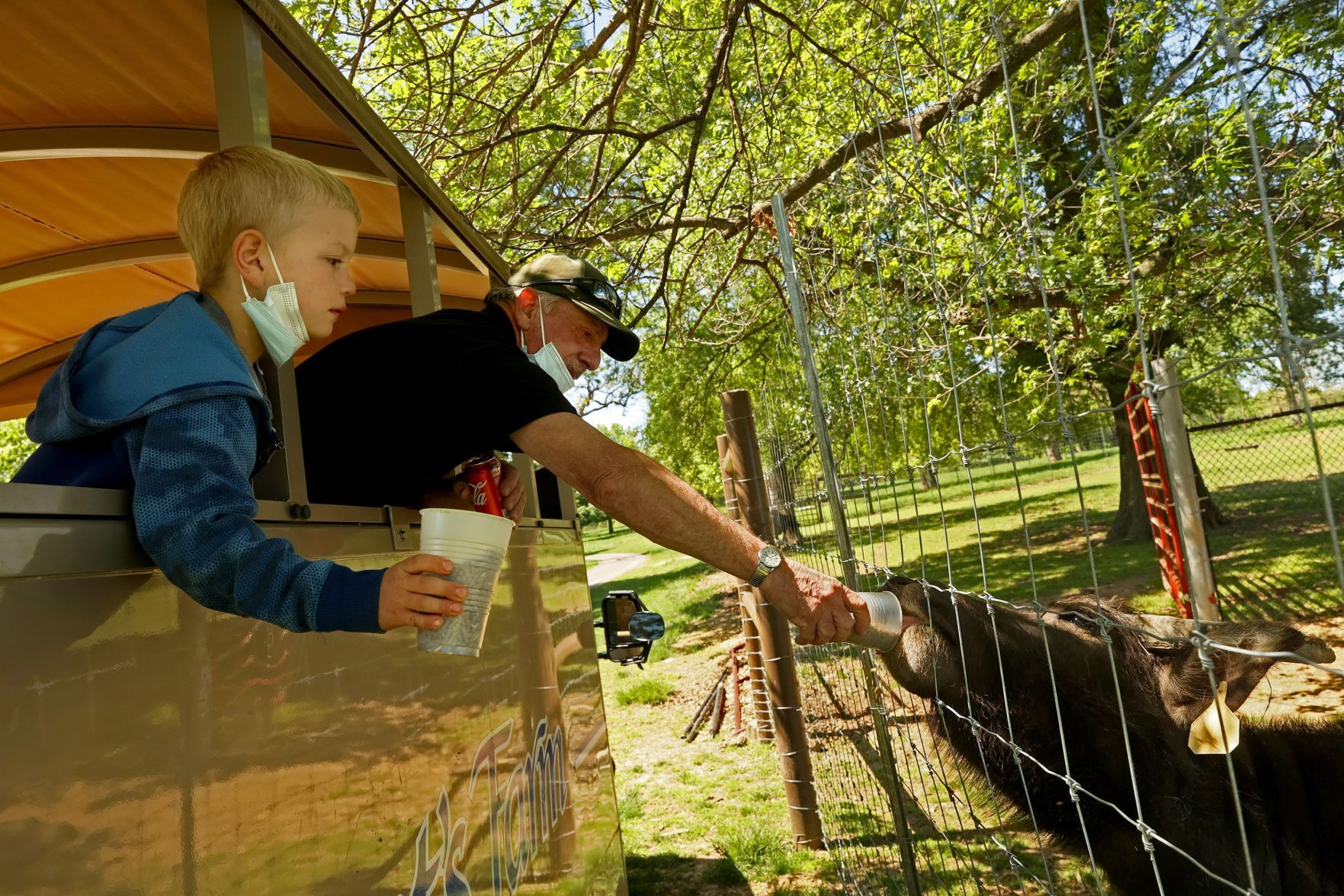 Grant's Farm soft opening prepares staff for full re-opening
